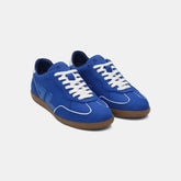 Delta Cobalt